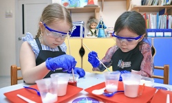 Профилизация школы: современные вызовы и вектор развития